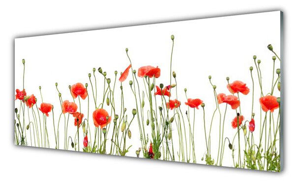 Sklenený obklad Do kuchyne Maky rastlina príroda 125x50 cm