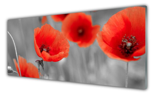 Sklenený obklad Do kuchyne Maky rastlina príroda 125x50 cm