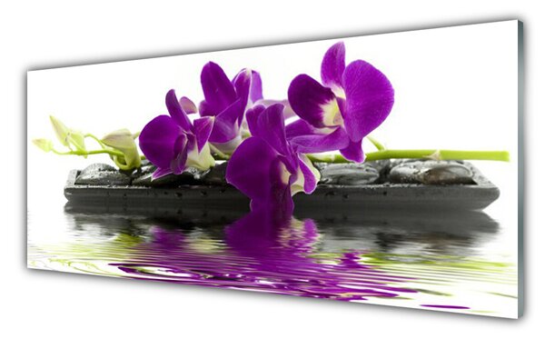 Sklenený obklad Do kuchyne Kvety rastlina príroda 125x50 cm