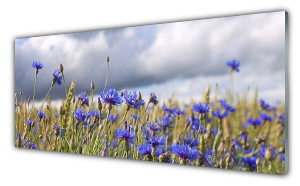 Sklenený obklad Do kuchyne Kvety rastlina príroda 125x50 cm