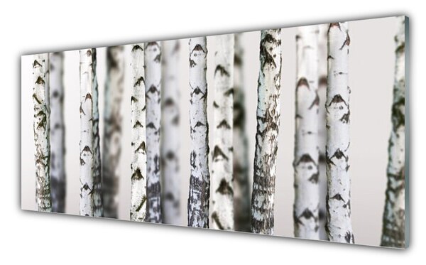 Sklenený obklad Do kuchyne Stromy príroda 125x50 cm