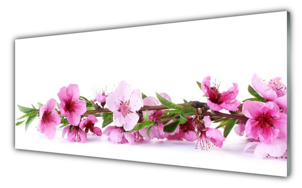 Sklenený obklad Do kuchyne Kvety rastlina príroda 125x50 cm