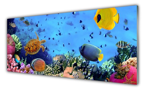Sklenený obklad Do kuchyne Koralový útes príroda 125x50 cm