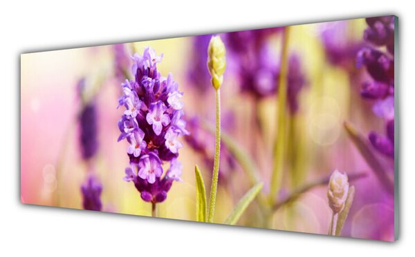 Sklenený obklad Do kuchyne Kvety rastlina príroda 125x50 cm