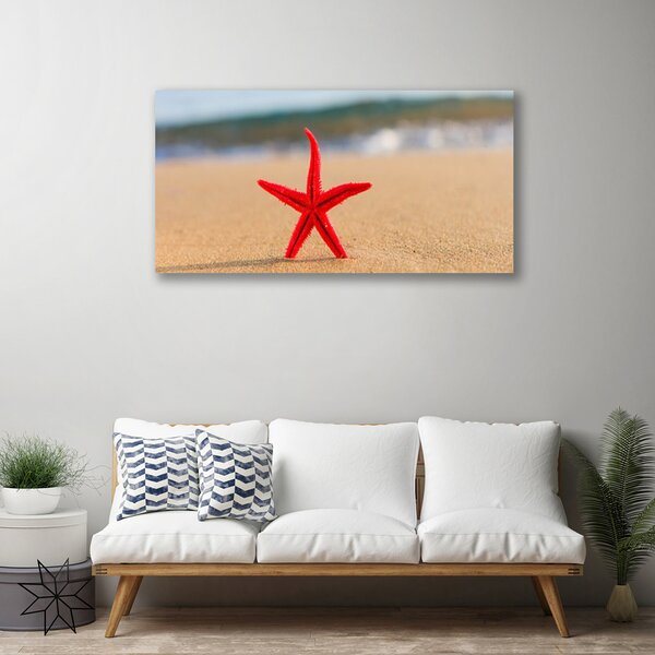 Obraz na plátne Pláž hviezdice umenie 100x50 cm