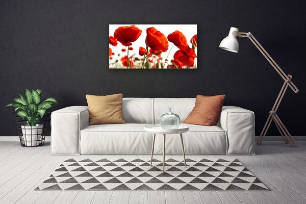 Obraz na plátne Tulipány kvety 100x50 cm