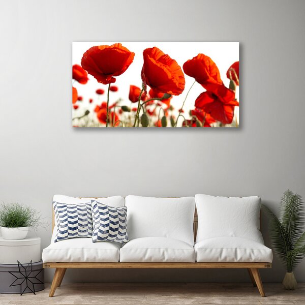 Obraz na plátne Tulipány kvety 100x50 cm