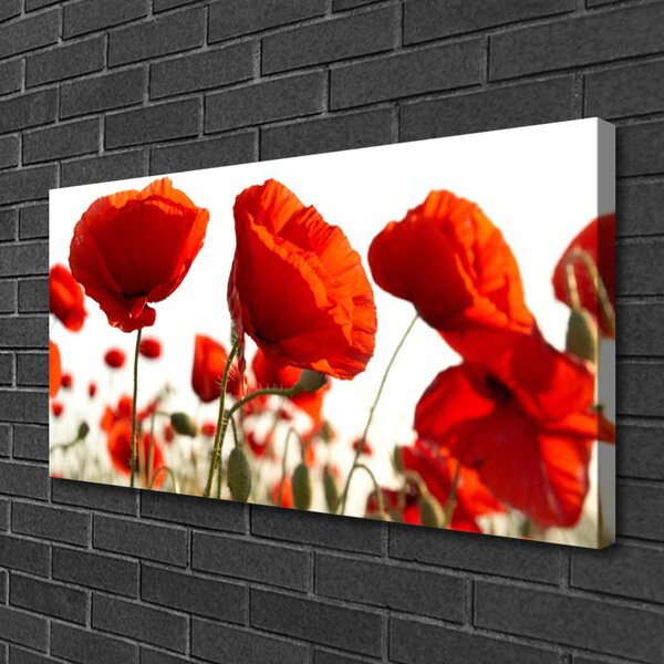 Obraz na plátne Tulipány kvety 100x50 cm