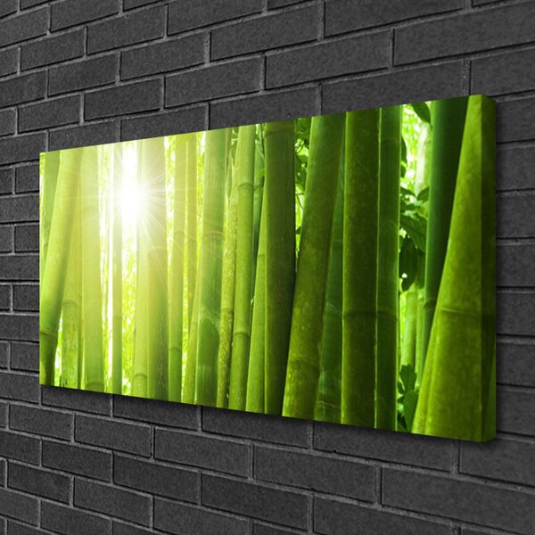 Obraz na plátne Bambus rastlina 100x50 cm