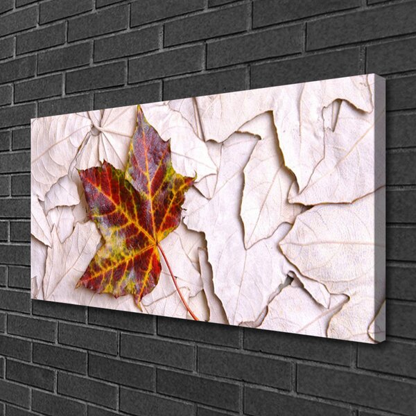 Obraz na plátne Listy rastlina 100x50 cm