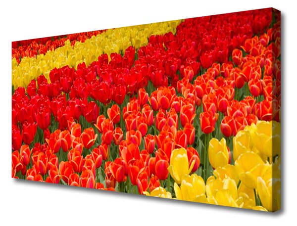 Obraz na plátne Tulipány kvety 125x50 cm