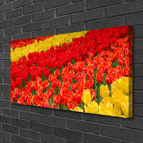 Obraz na plátne Tulipány kvety 100x50 cm