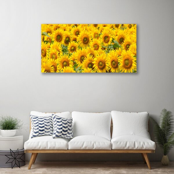 Obraz na plátne Slunecznice rastlina 100x50 cm
