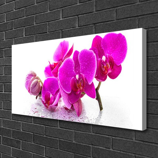 Obraz na plátne Kvety rastlina 100x50 cm