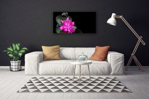 Obraz na plátne Kvet kamene rastlina 100x50 cm