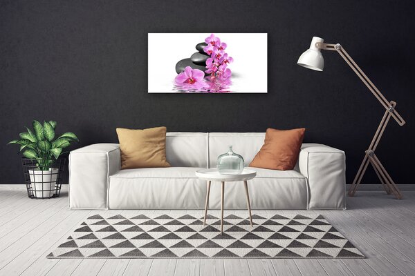 Obraz na plátne Kvet kamene rastlina 100x50 cm