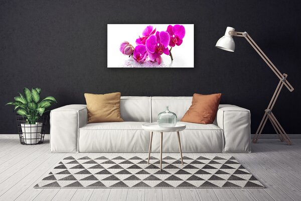Obraz na plátne Kvety rastlina 100x50 cm