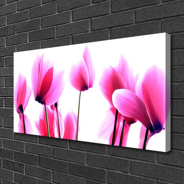 Obraz na plátne Kvetiny rastlina 100x50 cm