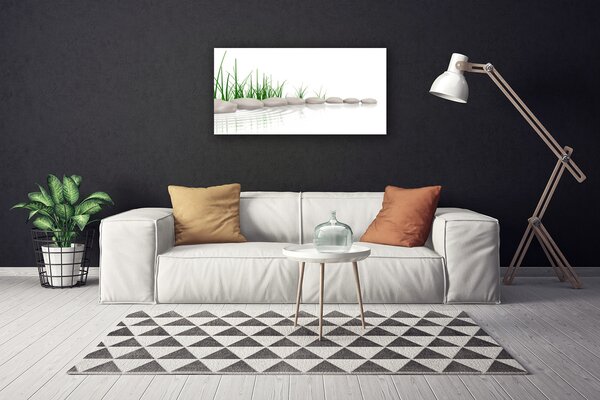 Obraz na plátne Kamene tráva umenie 100x50 cm