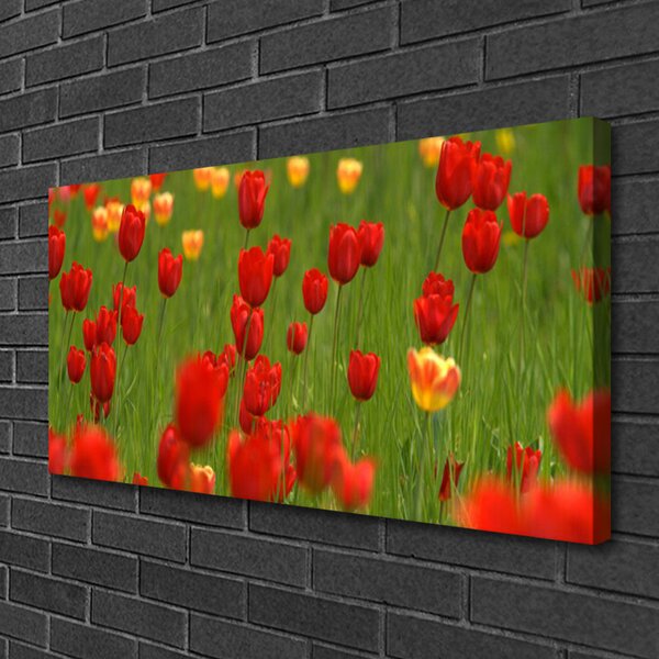Obraz na plátne Tulipány rastlina 100x50 cm