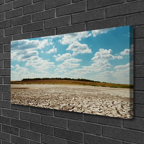 Obraz na plátne Púšť krajina 100x50 cm