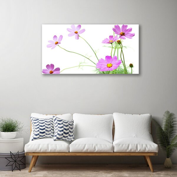 Obraz na plátne Kvety rastlina 100x50 cm