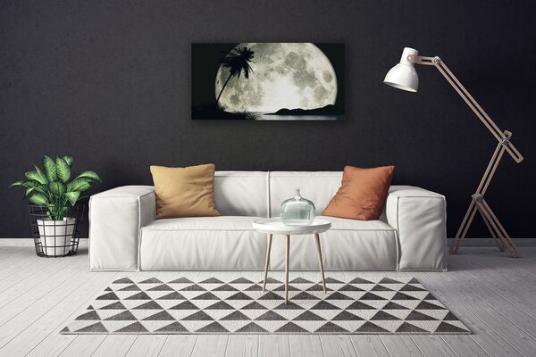 Obraz na plátne Noc mesiac palma krajina 100x50 cm