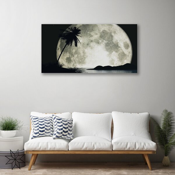 Obraz na plátne Noc mesiac palma krajina 100x50 cm