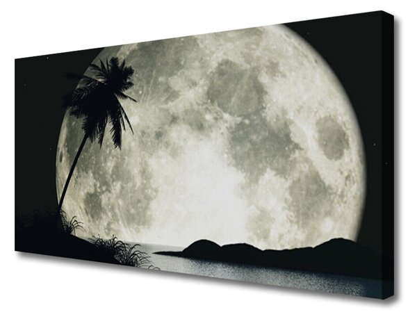 Obraz na plátne Noc mesiac palma krajina 100x50 cm