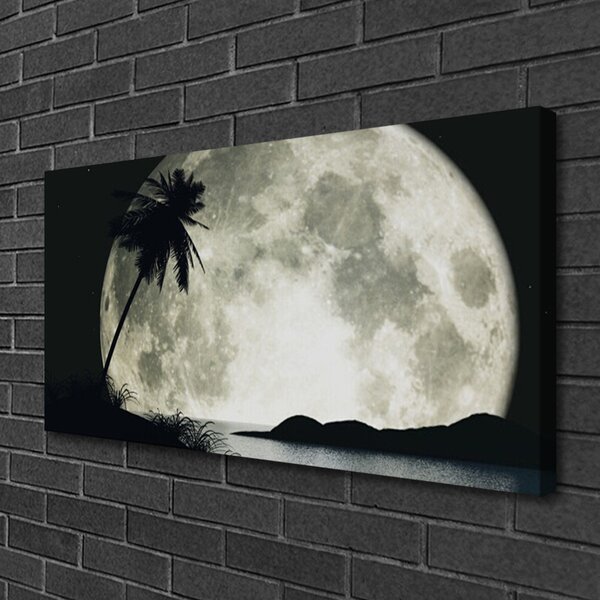 Obraz na plátne Noc mesiac palma krajina 100x50 cm