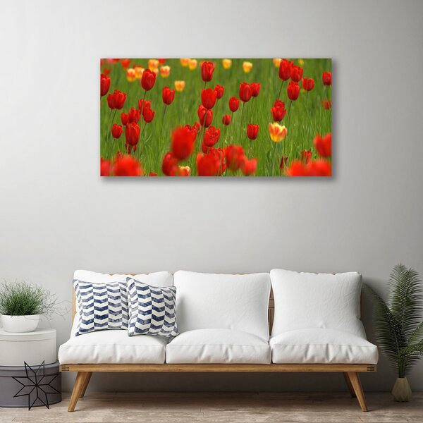 Obraz na plátne Tulipány rastlina 100x50 cm
