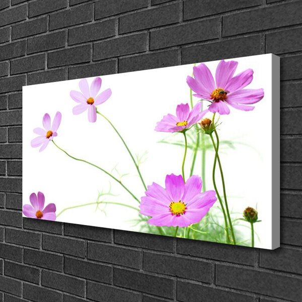 Obraz na plátne Kvety rastlina 100x50 cm