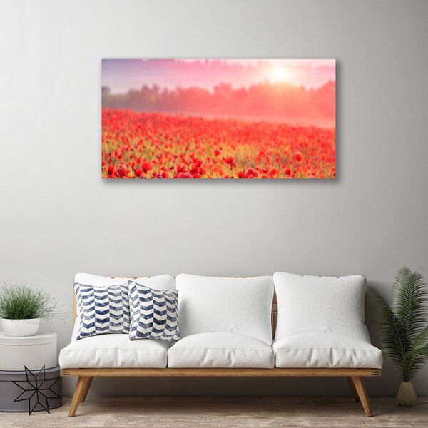 Obraz na plátne Lúka kvety príroda 100x50 cm
