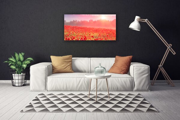 Obraz na plátne Lúka kvety príroda 100x50 cm