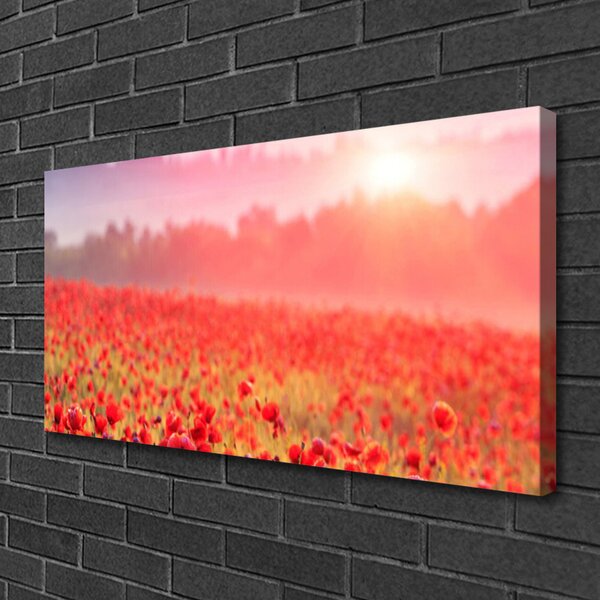 Obraz na plátne Lúka kvety príroda 100x50 cm