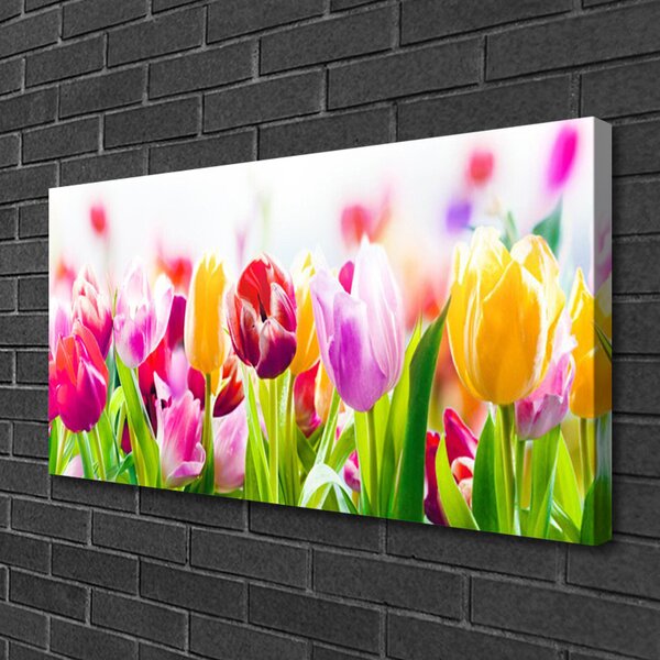Obraz na plátne Tulipány kvety 100x50 cm