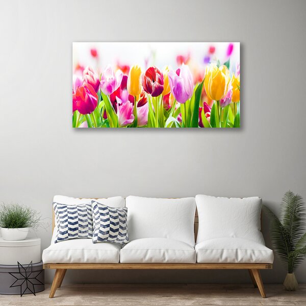 Obraz na plátne Tulipány kvety 100x50 cm