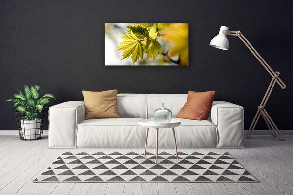 Obraz na plátne Listy rastlina 100x50 cm