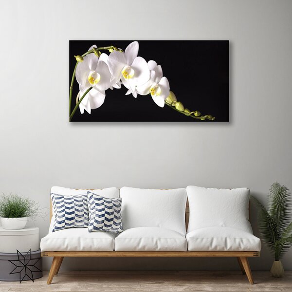 Obraz na plátne Kvety rastlina 100x50 cm