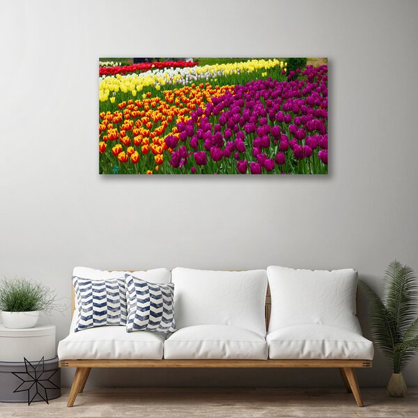 Obraz na plátne Tulipány kvety 100x50 cm