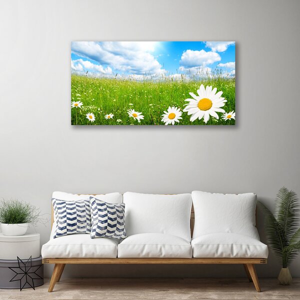 Obraz na plátne Sedmokráska tráva príroda 100x50 cm