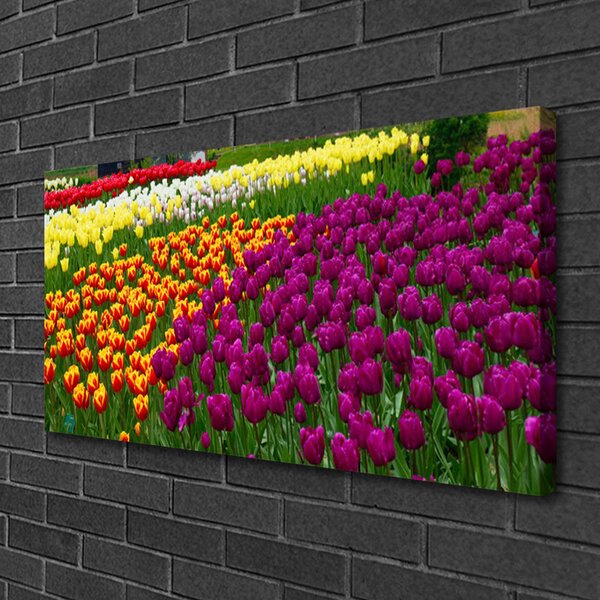 Obraz na plátne Tulipány kvety 100x50 cm