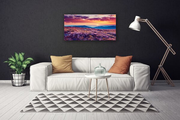 Obraz na plátne Lúka hory kvety príroda 100x50 cm