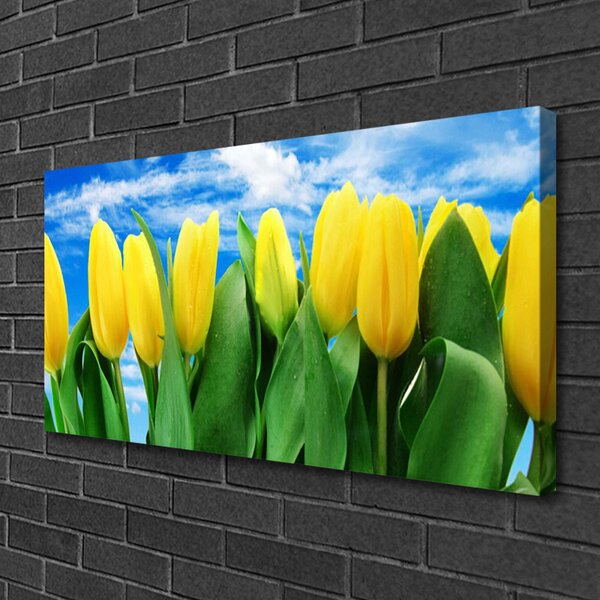 Obraz na plátne Tulipány kvety 100x50 cm