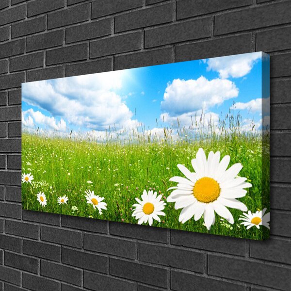 Obraz na plátne Sedmokráska tráva príroda 100x50 cm