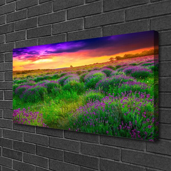 Obraz na plátne Lúka príroda 100x50 cm