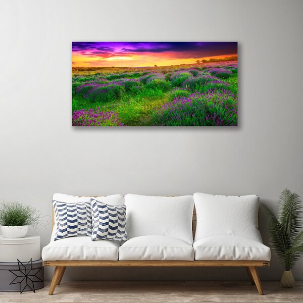 Obraz na plátne Lúka príroda 100x50 cm