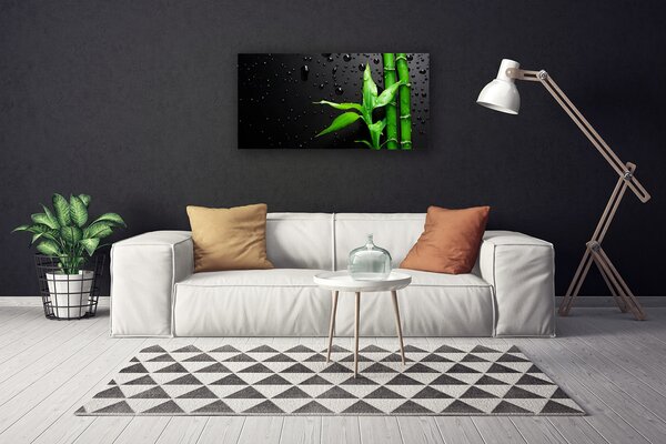Obraz na plátne Bambus listy rastlina 100x50 cm