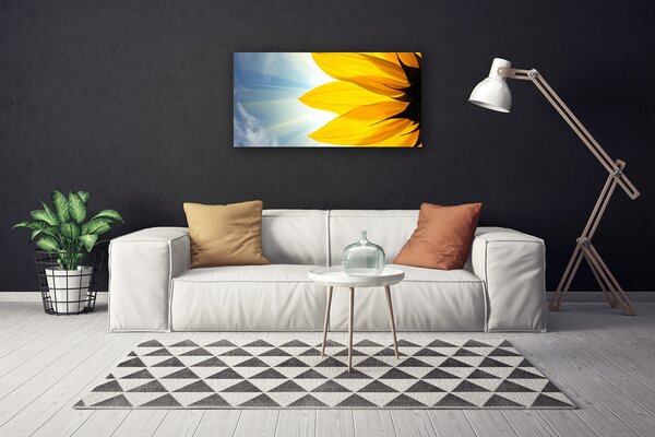 Obraz na plátne Plátky rastlina 100x50 cm