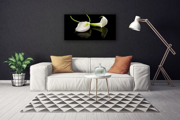 Obraz na plátne Kvety rastlina 100x50 cm